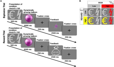 Impulsivity Moderates Skin Conductance Activity During Decision Making in a Modified Version of the Balloon Analog Risk Task